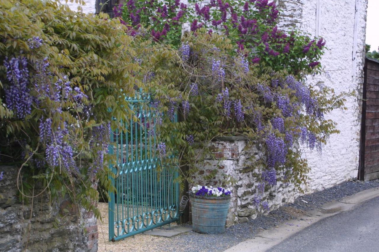 La Vie En Rose Hotel Gouvy Exterior photo